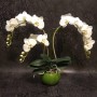 Орхидея фаленопсис из фоамирана Шелковый ЛЮКС, мастер Наталья Ломова