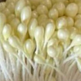 тычинки жемчужные 3 мм молочно нефритовый