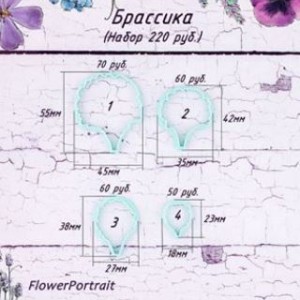 ФП Flower Portrait 156 каттеры Брассика
