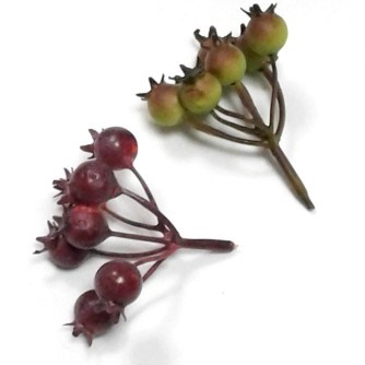 Ветка шиповника без листьев (7 ягод), цвет на выбор.