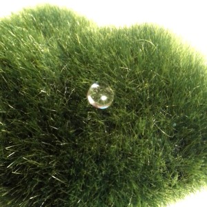 UV Resin УФ смола №5, без запаха, гибкая, 25 г, морозостойкая